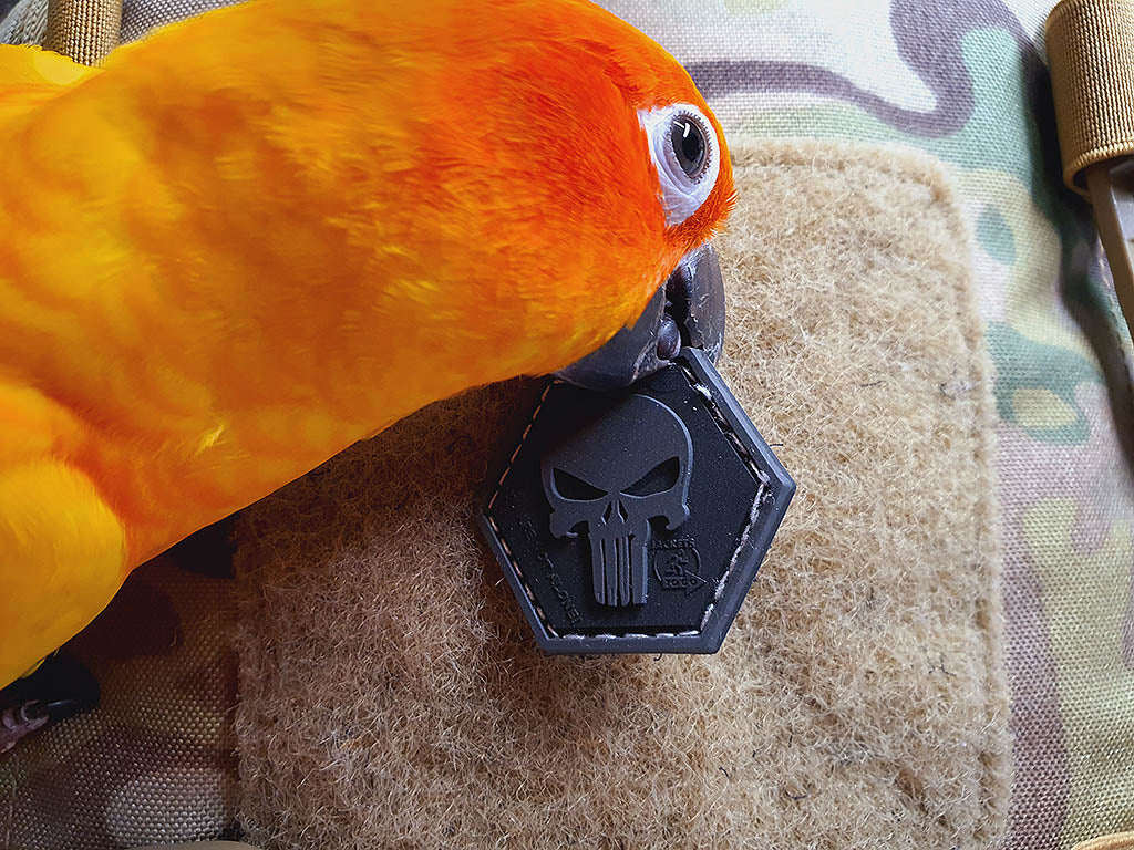 Punisher “YOU ARE NOT ALONE” Patch, blackops, Hexagon Patch, 3D Rubber Patch - Patch Snatched